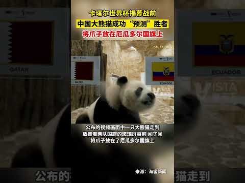 全国铁路今,日预计输送,旅客突破,世界杯直播,2026世界杯,直播平台,赛事直播,体育频道