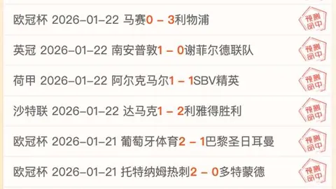 红色沙漠新更新：新增难度设置与存储优化，宠物鸟系统亮相